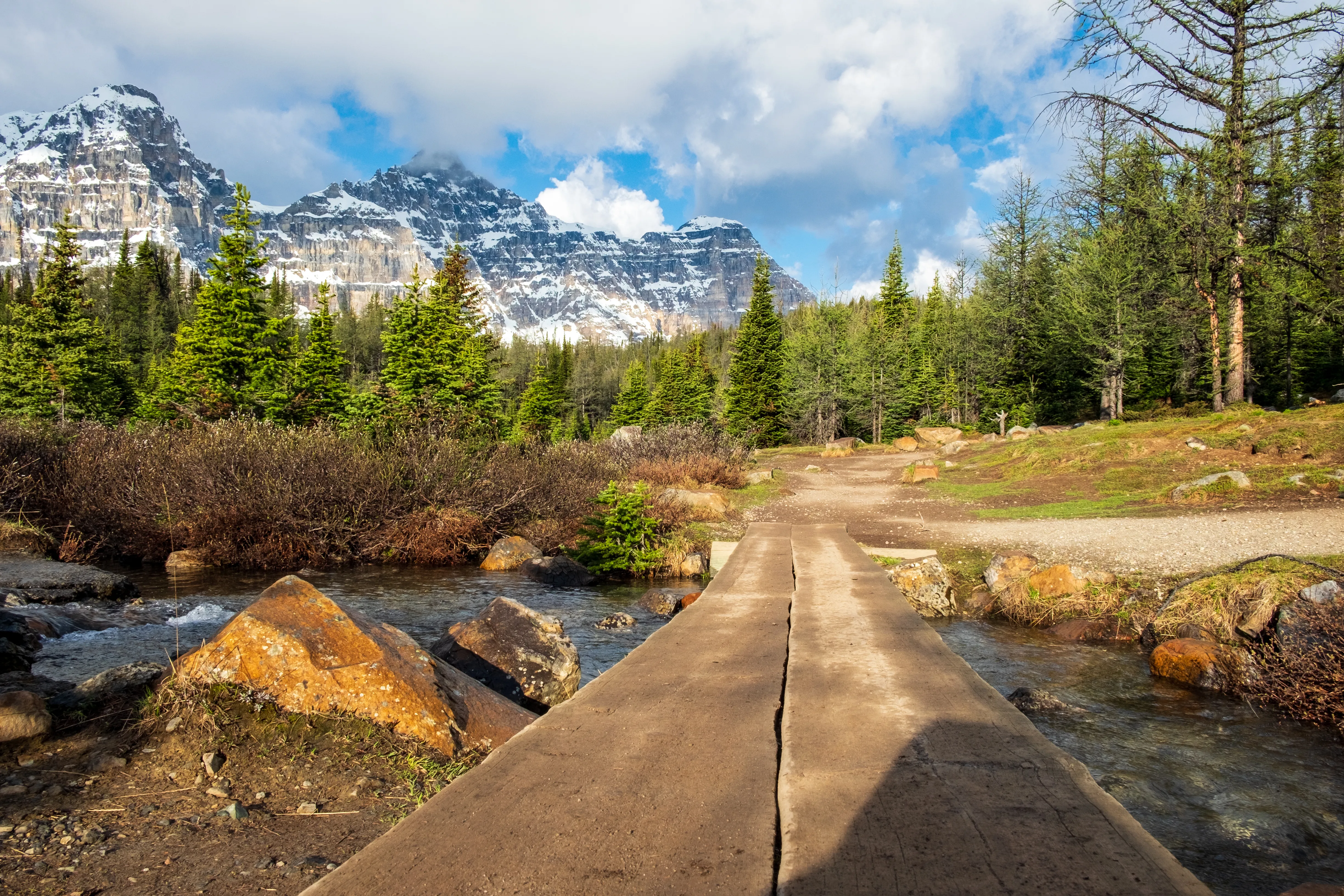 larch valley trail